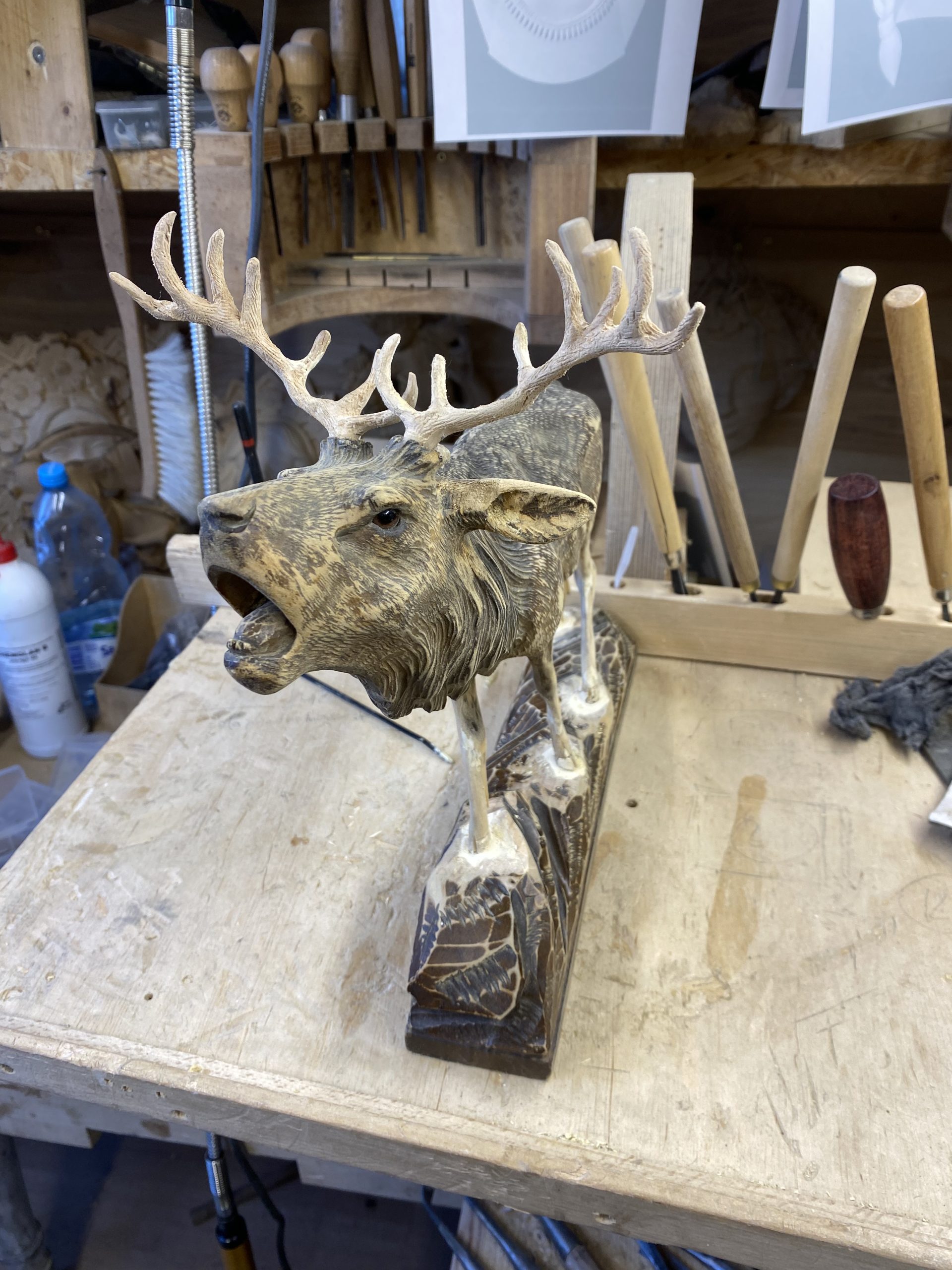 Poroże po rekonstrukcji – detal